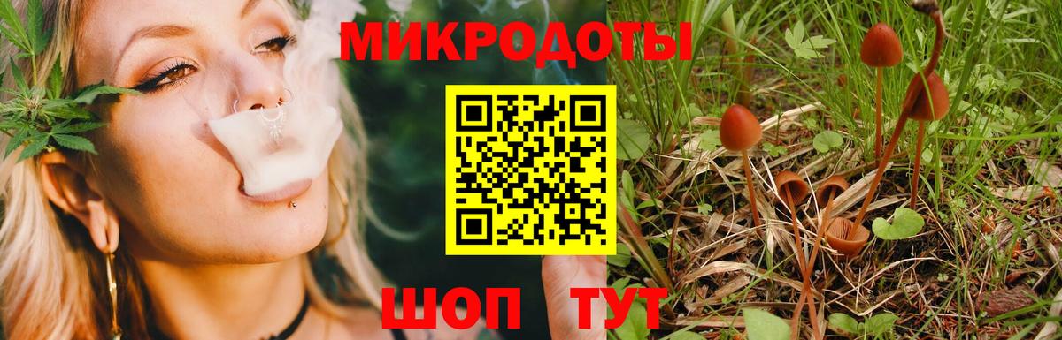 Псилоцибиновые грибы мухоморы  Вход с VPN  Галлюциногенные грибы ЛСД  купить наркотики цена  Новый Уренгой 
